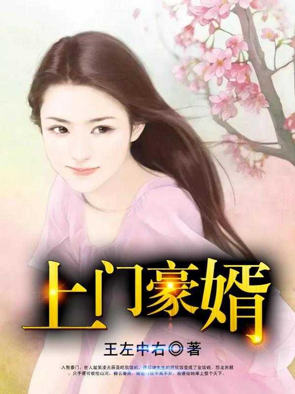 上门豪婿全文免费阅读全文
