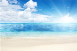 职场沉浮录职场沉浮录