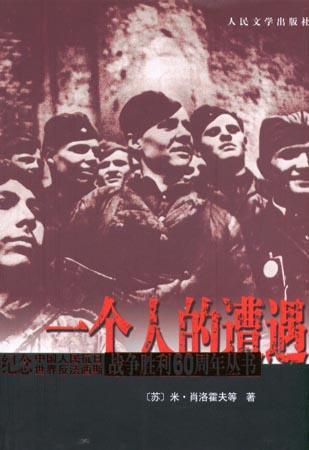 一个人的遭遇全文分析