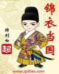 锦衣当国无弹窗