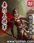 妻乃上将军多少字