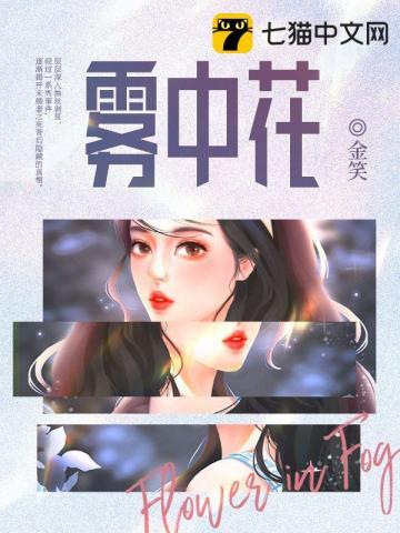 雾中花水中月