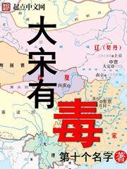 大宋有毒三部曲