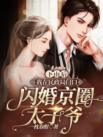 下山后我在民政局门口闪婚京圈太子爷第几章睡的?