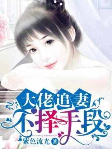 大佬追妻不择手段简介