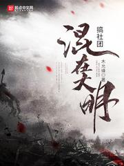 大明之五好青年epub