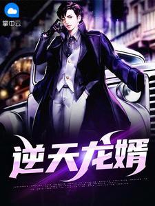 逆天龙婿短剧免费完整版观看