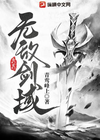 无敌剑域无臂男子是谁