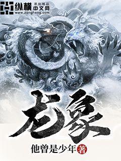 龙象般若功是外功还是内功