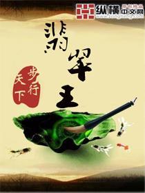 翡翠王是谁