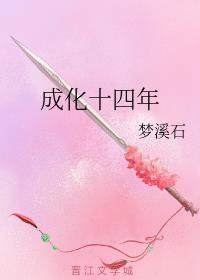成化十四年电视剧