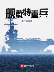 舰载特重兵精TXT