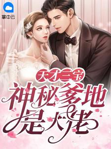 天才三宝神秘爹地是大佬免费729章