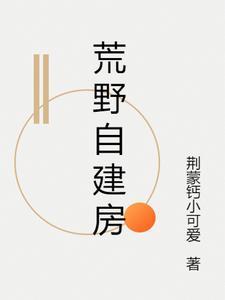 荒野盖房视频