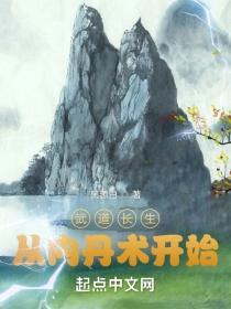 武道长生从内丹术开始类似