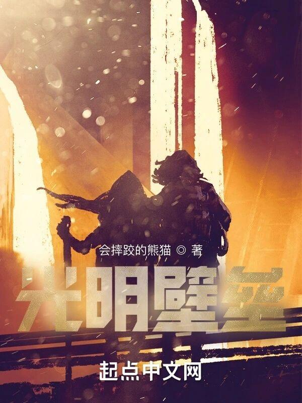 光明壁垒百科