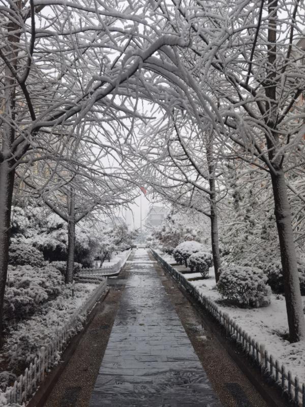 我重生选择了缩小系统