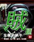 贼胆TXT全集