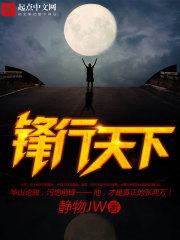 锋行天下应援包价格是多少