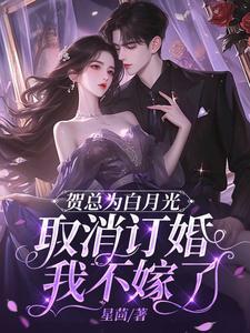 类似贺新凉的男主