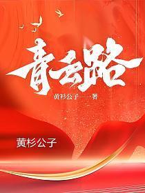 阳光的青云之路