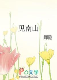 我见南山短剧