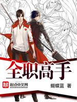全职高手动漫免费观看