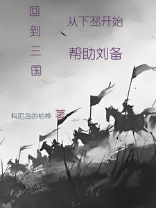 三国之季汉阿斗