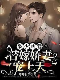 枭少护妻超放肆无弹窗