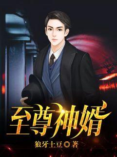 至尊神婿叶吴郑漫儿