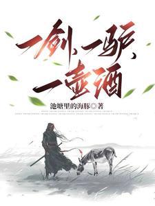 一剑一驴一壶酒怎么样