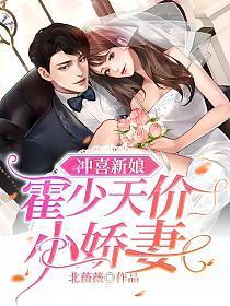 冲喜新娘霍少天价小娇妻白晓娴