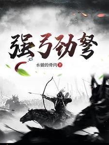 强弓劲弩最佳答案一肖