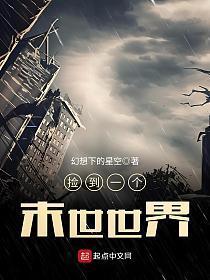 捡到一个末世世界TXT盗版