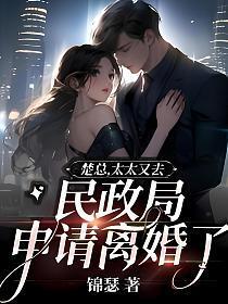 太太又去民政局申请离婚了TXT