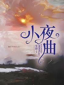 小夜曲弦乐四重奏