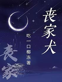 丧家犬免费阅读全文
