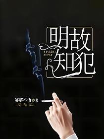 明知故犯by长孙讲了什么