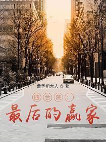 四合院最后的赢家未删节