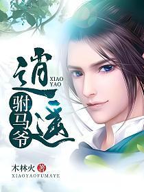 逍遥驸马爷 一时激动