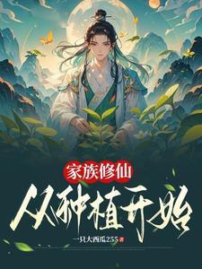 家族修仙开局一座大型灵石矿