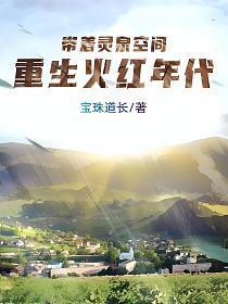 重生火红年代 第419章