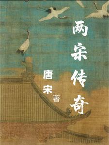 两宋传奇电视剧解说