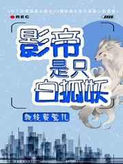 影帝是只白狐妖总共多少章