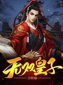 无双皇子免费阅读