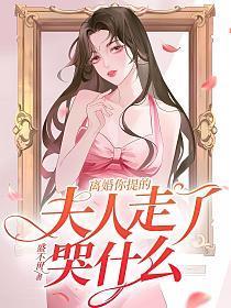 夫人你今天离婚了吗