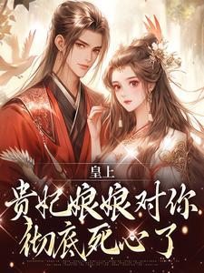 皇上贵妃