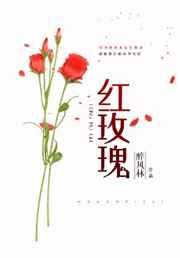 红玫瑰 二小姐的宠妻 百度