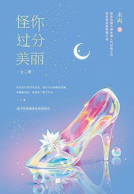 怪你过分美丽全文阅读