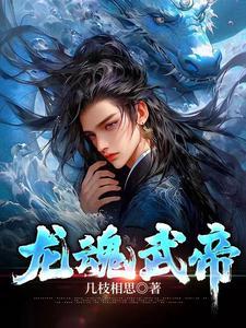 龙魂武帝免费阅读